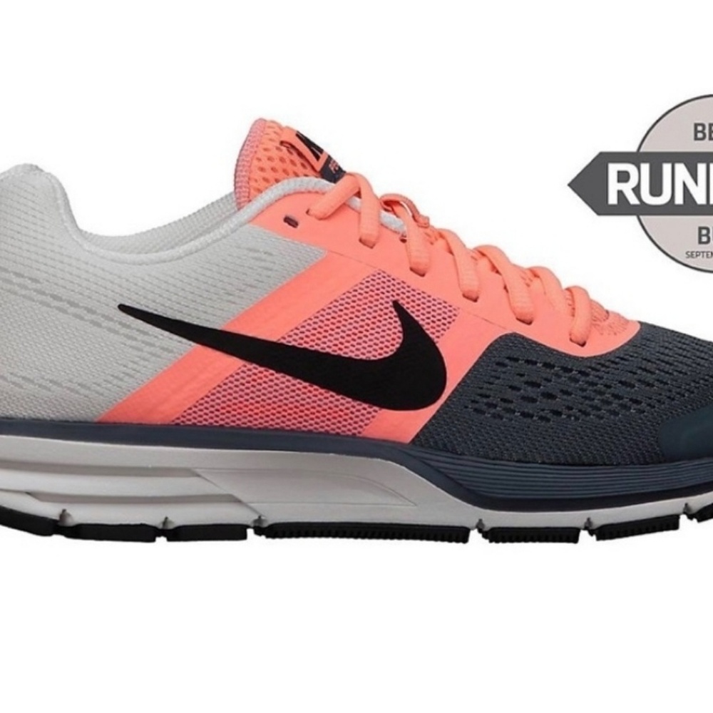 Nike pegasus 30
